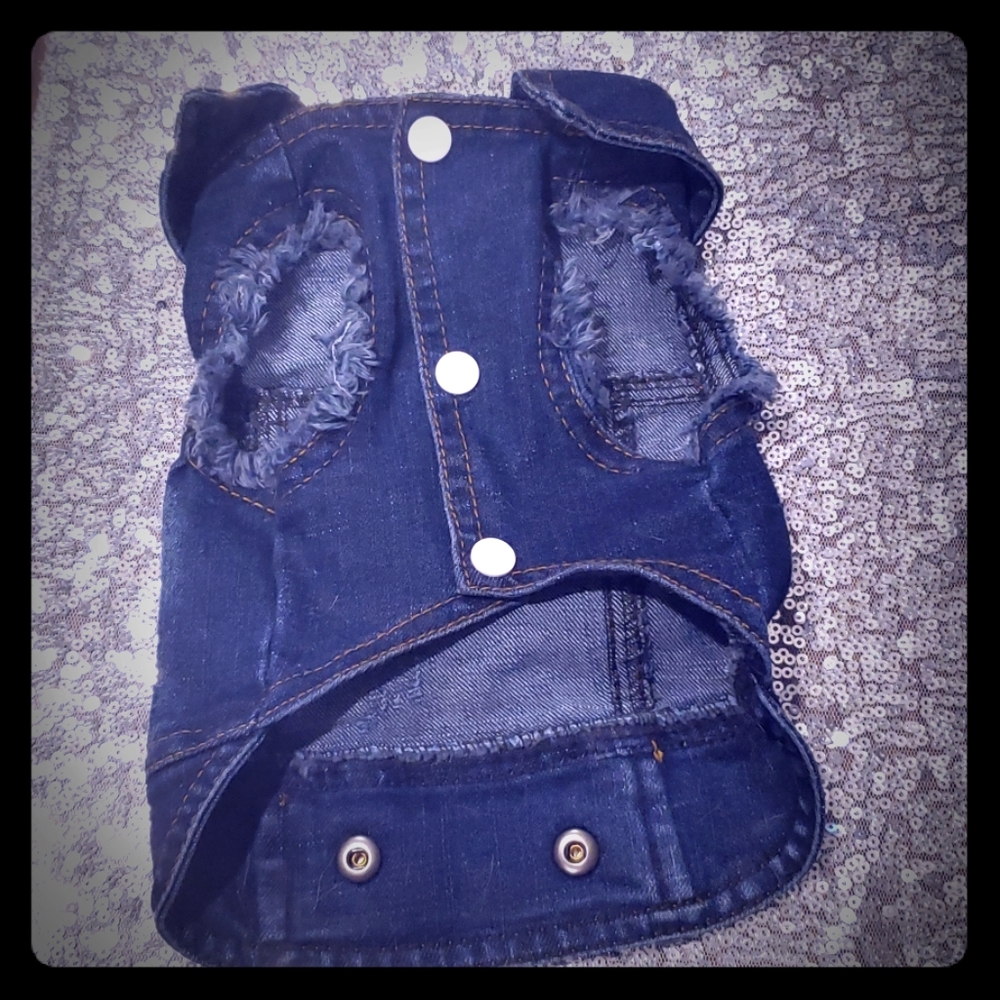 Dog vest